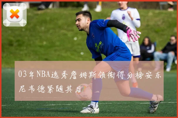 03年NBA选秀詹姆斯领衔得分榜安东尼韦德紧随其后
